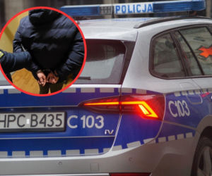 Skatował partnerkę i ogolił jej głowę. Maryna nie żyje