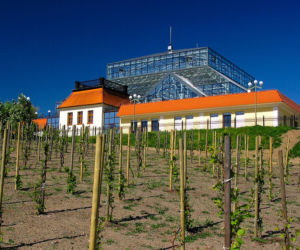 Panorama
