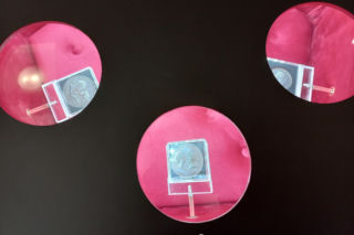 O Marii Leszczyńskiej w Muzeum Okręgowym w Lesznie