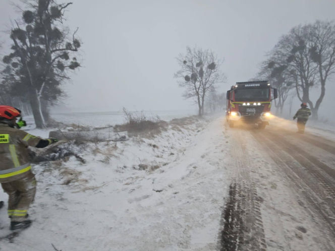 Wichura zniszczyła zabytkową kapliczkę przy sanktuarium