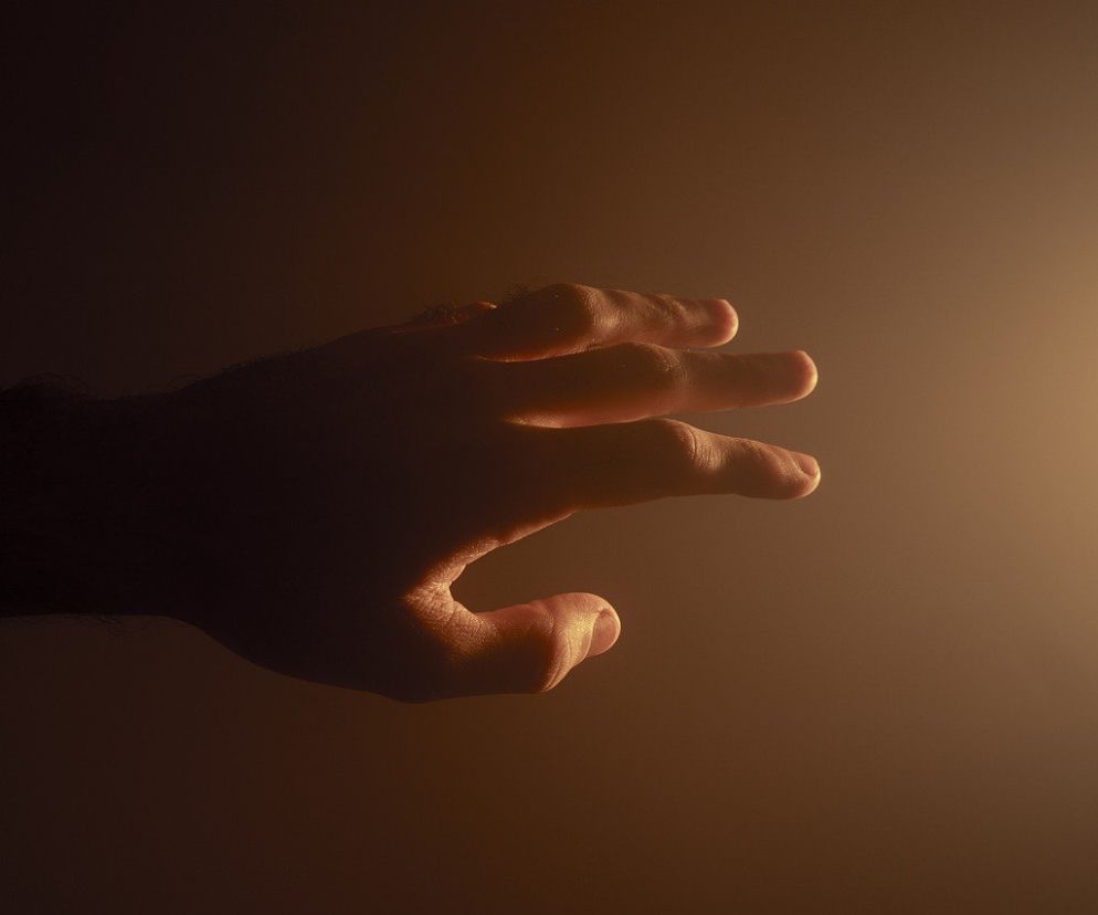 dłoń
