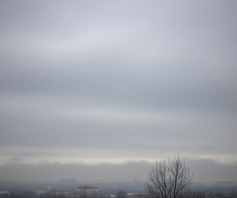 Dominującą część kadru zajmuje zachmurzone, szare niebo, rozjaśniające się ku górnej prawej krawędzi. Poniżej, w mglistym horyzoncie, rozciąga się panorama miejska z licznymi budynkami o różnych kształtach, niektóre z nich ledwo widoczne przez zamglenie. Na pierwszym planie, u dołu kadru, po prawej stronie, widać fragment nagiego drzewa z wyraźnie zarysowanymi gałęziami, wystającymi ponad niższe zabudowania.