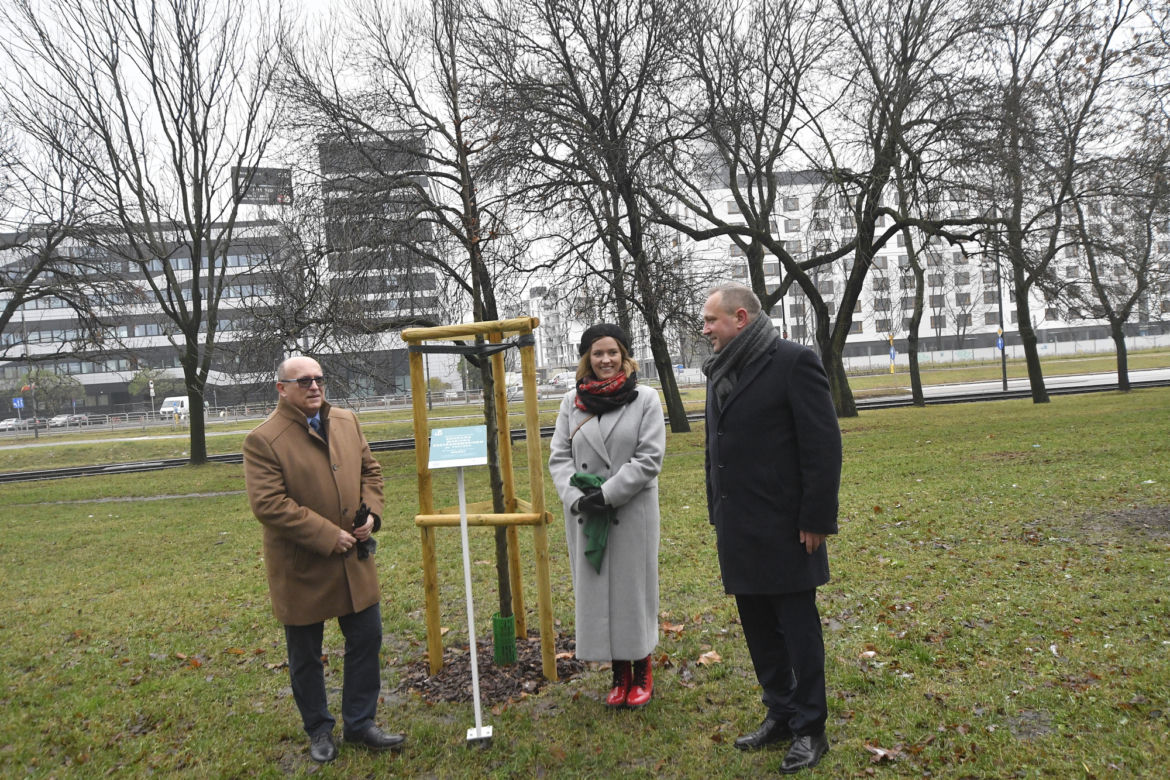 Powstańcy zapuścili korzenie. 20 drzew dla bohaterów w parku na Woli