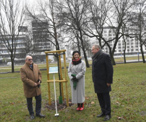 Powstańcy zapuścili korzenie. 20 drzew dla bohaterów w parku na Woli