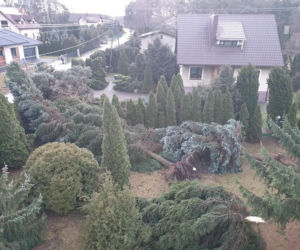 Pogodowy armagedon