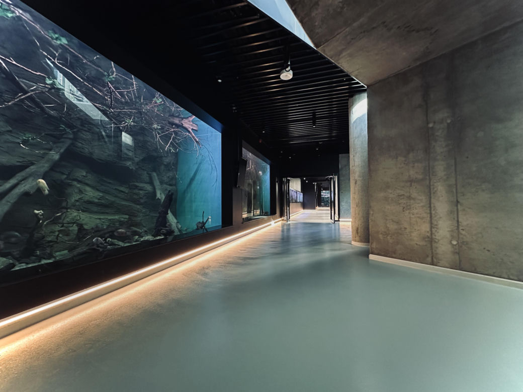 Nowe Egzotarium w Sosnowcu
