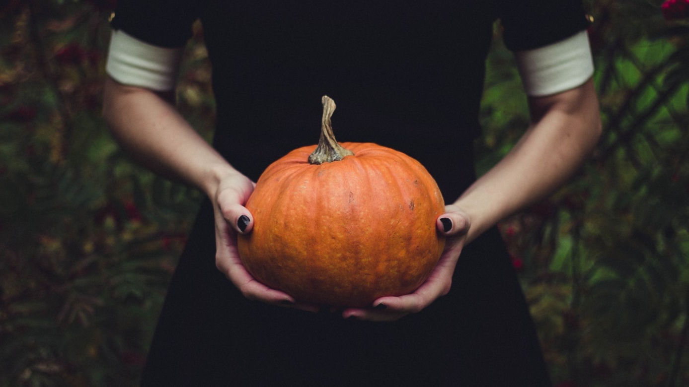 Halloween 2021: co robić z dziećmi, przyjaciółmi, rodziną?