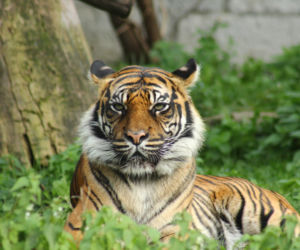 Babcie i Dziadkowie z warszawskiego zoo! [GALERIA]