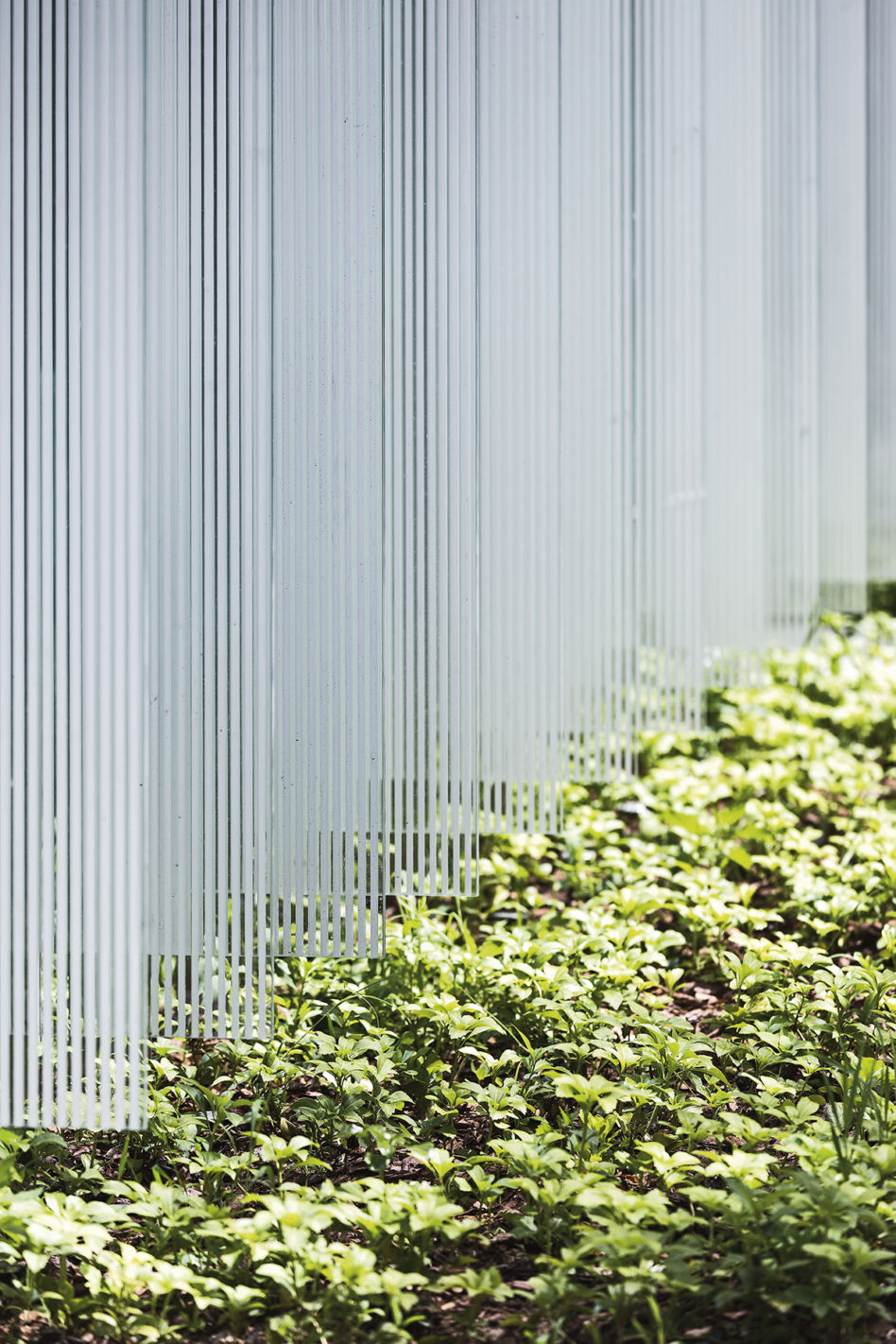 SZUCHA Premium Offices