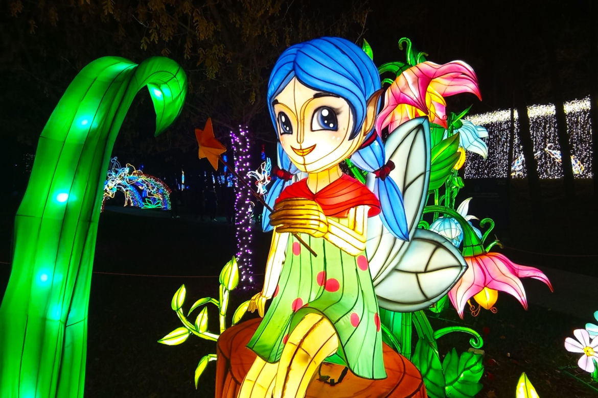 Garden of Lights w Szczecinie