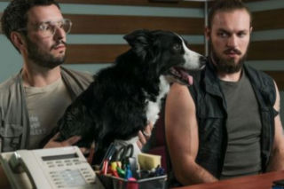 Na sygnale. Nieprzytomna nastolatka i czworonożny bohater