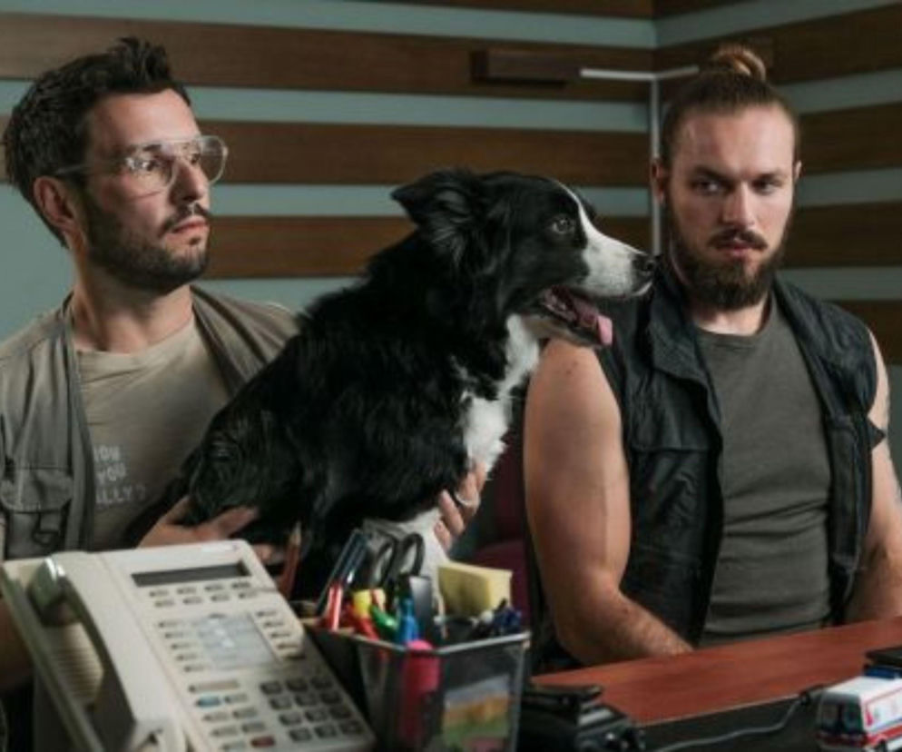 Na sygnale odcinek 811: streszczenie. Nieprzytomna nastolatka i czworonożny bohater