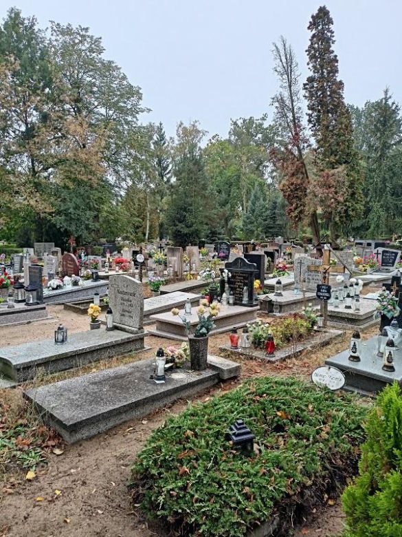 Cmentarz Junikowo Poznań