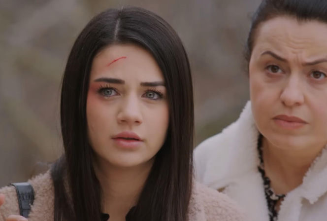 Miłość i nadzieja, odcinek 361. Bahar, Cavidan