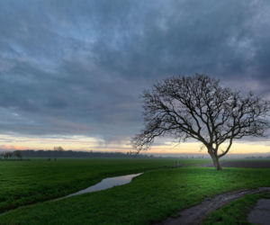 Pogoda na weekend w Białymstoku 10-12 kwietnia. Zrobi się chłodniej i popada deszcz