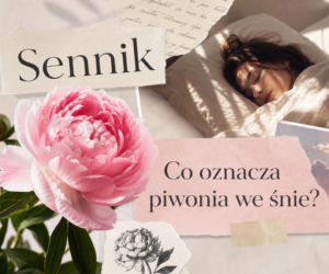 Piwonia we śnie - znaczenie snu. Miłość, tęsknota i potrzeba bliskości