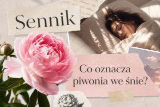 Piwonia we śnie - znaczenie snu. Miłość, tęsknota i potrzeba bliskości
