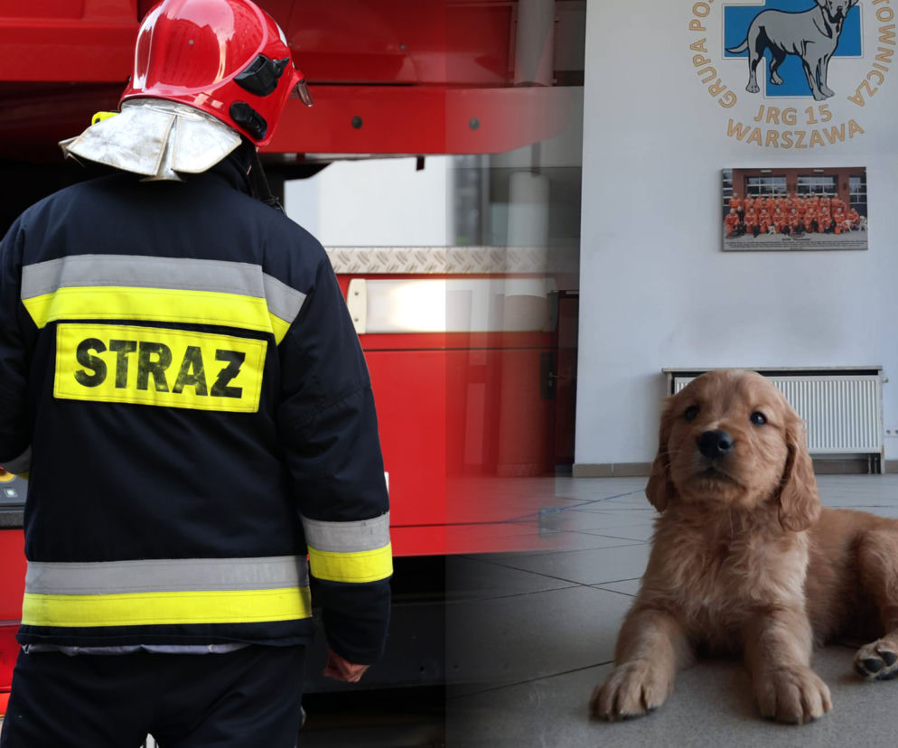 Nowy ratownik w stołecznej straży pożarnej. Malec podbija serca internautów
