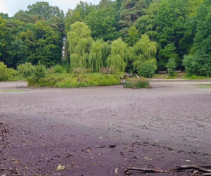 Wyschnięty Staw Wędkarski w Szczecinie