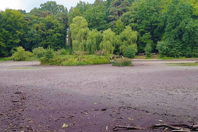 Wyschnięty Staw Wędkarski w Szczecinie