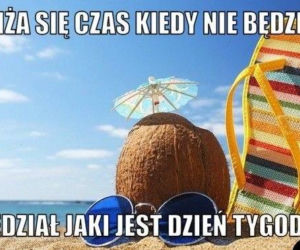 Najlepsze memy z okazji zakończenia roku szkolnego! 