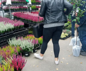 Kiermasz ogrodniczy Pamiętajcie o ogrodach