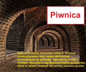 Język żyje — zmienia go historia, migracje, zapożyczenia z innych języków, a nawet technologia