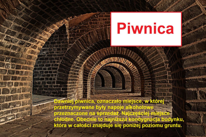 Język żyje — zmienia go historia, migracje, zapożyczenia z innych języków, a nawet technologia