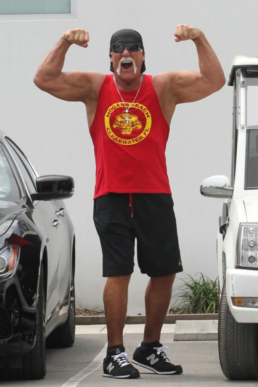 Hulk Hogan: majątek, żona