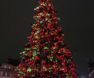 W Warszawie rozbłysła świąteczna iluminacja