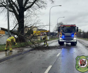 Powiat siedlecki: liczne interwencje strażaków w związku z wichurą