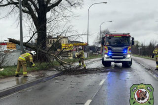 Powiat siedlecki: liczne interwencje strażaków w związku z wichurą