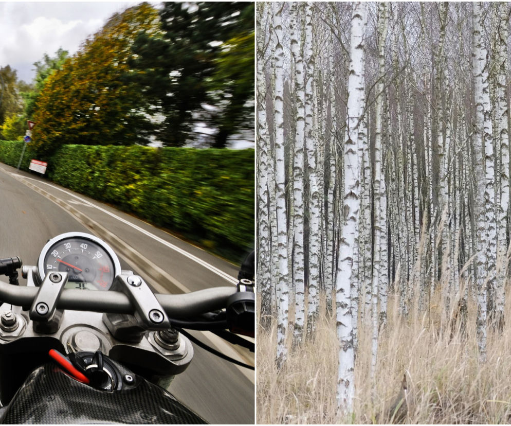 Motocykl staranował znak, on poleciał dalej i uderzył w drzewa! 42-latek zginął w Lany Poniedziałek pod Ostrołęką