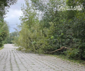 Potworne skutki wichury w Warszawie