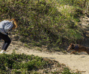 Pełczyńska-Nałęcz na siłowni. Tak wyglądał jej trening z psem
