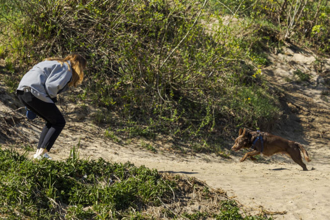 Pełczyńska-Nałęcz na siłowni. Tak wyglądał jej trening z psem