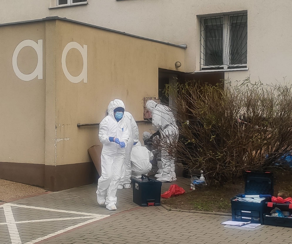 Gdańsk: Morderstwo na Żabiance. 