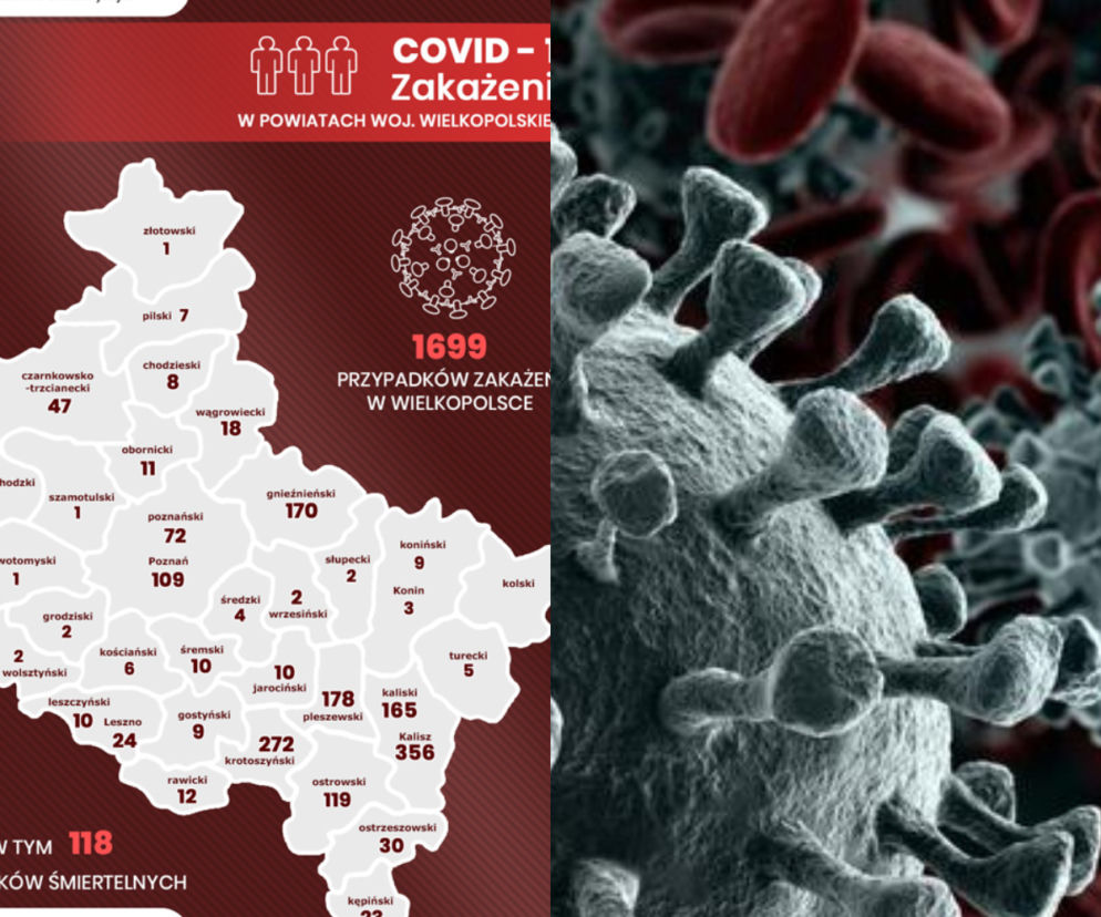 Koronawirus w Wielkopolsce. Kolejne osoby WYGRAŁY z zarazą [RAPORT]