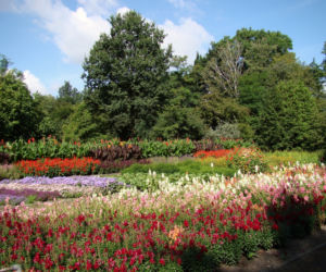 Ogród Botaniczny