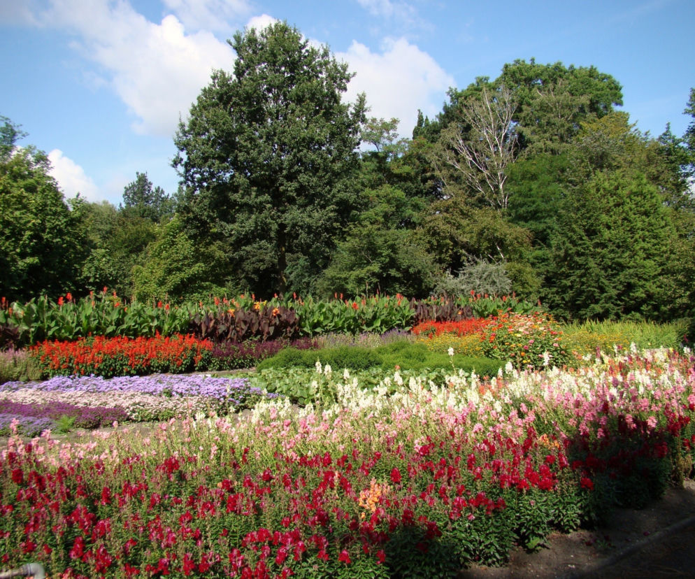 Ogród Botaniczny