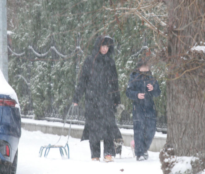 Marta Kaczyńska z synem i psami na sankach w lesie