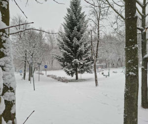 Atak zimy w Świętokrzyskiem. Śnieg i trudne warunki drogowe 23 Listopada 2025