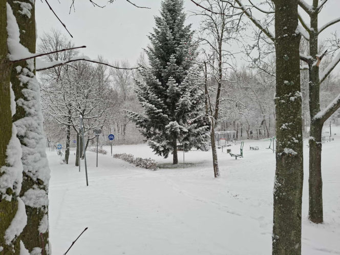 Atak zimy w Świętokrzyskiem. Śnieg i trudne warunki drogowe 23 Listopada 2025