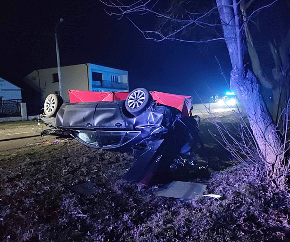 Zabił się o drzewo, bo za szybko jechał