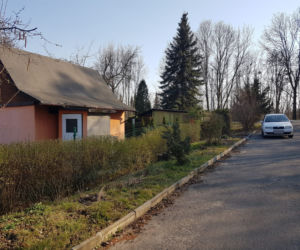 Ogródki działkowe w czasie pandemii