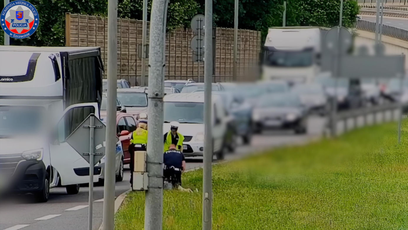 "Pożyczył" samochód dla zabawy