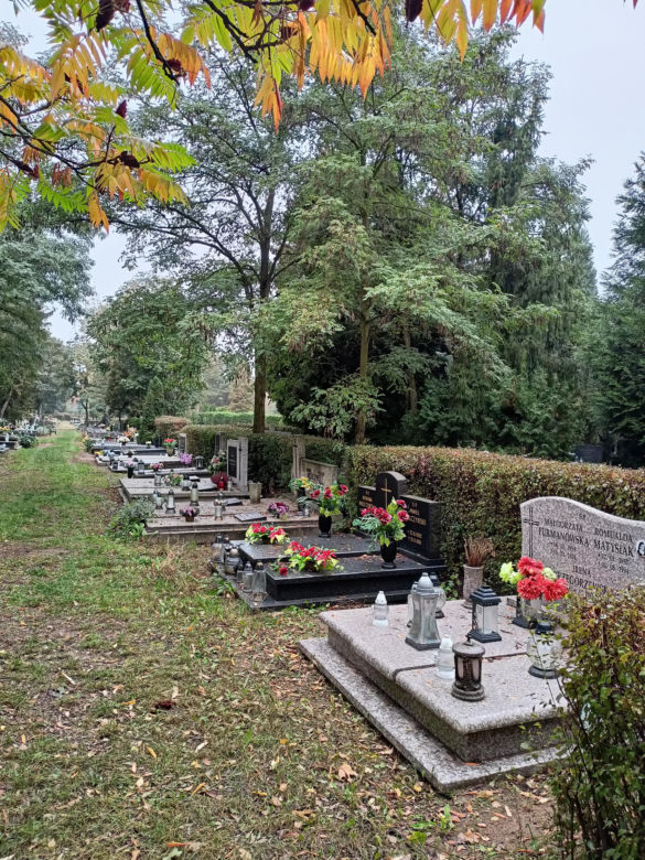 Cmentarz Junikowo Poznań