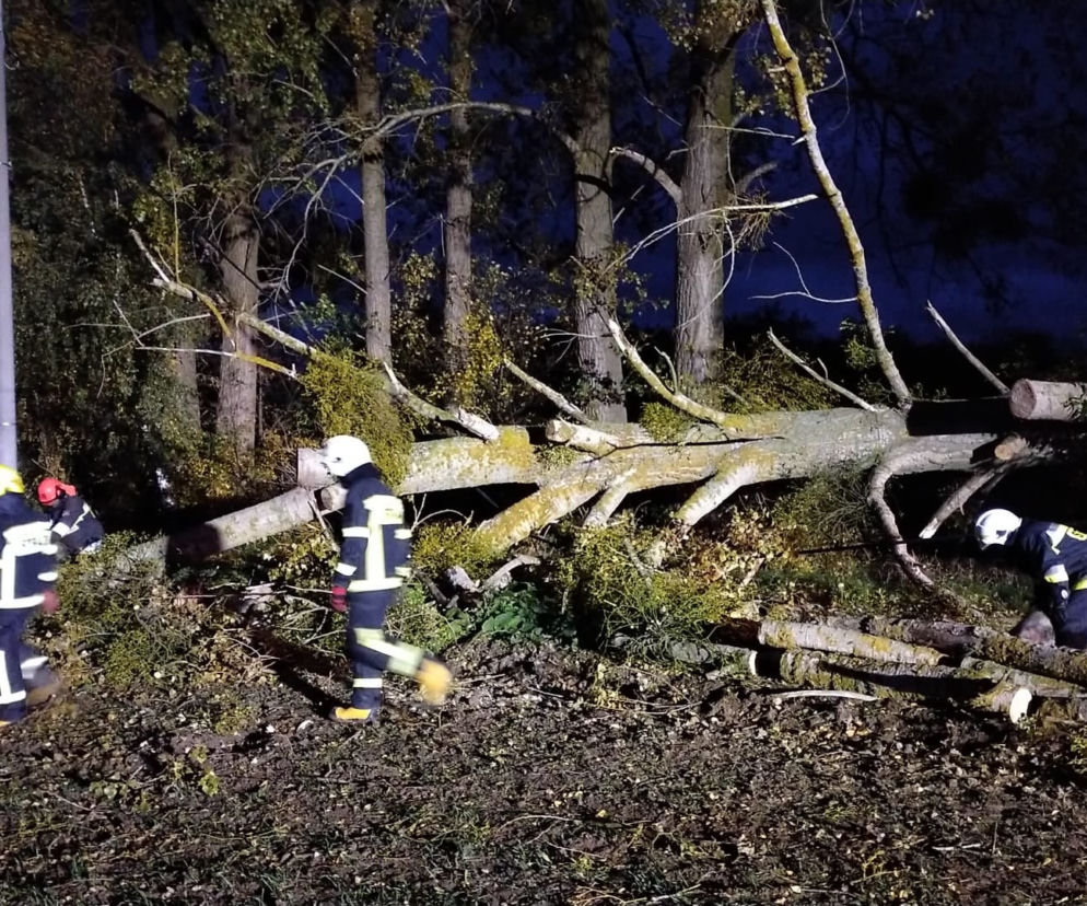 Pomorskie: Ostatnia noc była KOSZMAREM! 365 interwencji strażaków! 
