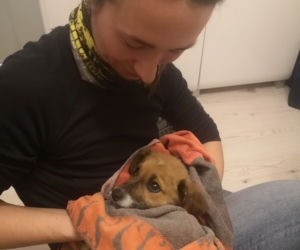 Szczeniak utknął w rurze kanalizacyjnej, przeżył jako jedyny. Dramatyczna akcja ratunkowa Fuksa. 