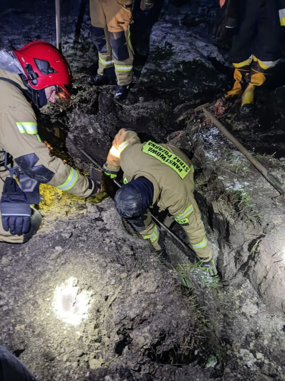 Maleństwo zaklinowało się w bobrzej norze. Wcześniej ktoś wyrzucił szczeniaki w szczerym polu